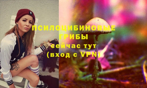 хмурый Балахна