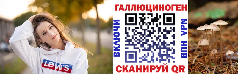 блэк спрут ссылки  Коммунар  Галлюциногенные грибы Psilocybine cubensis 